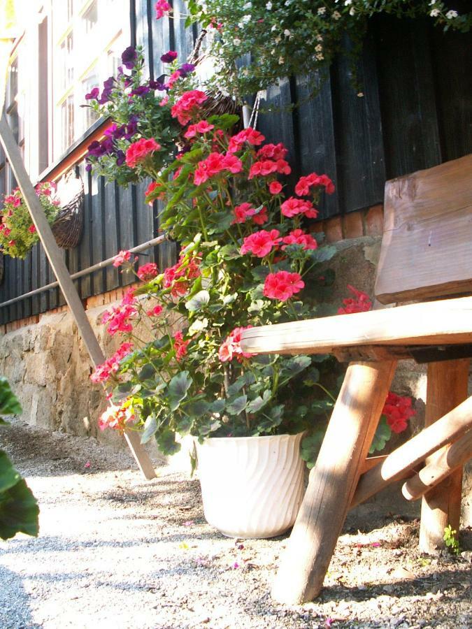 Ferienhaus Forellengrund Wernigerode Eksteriør billede